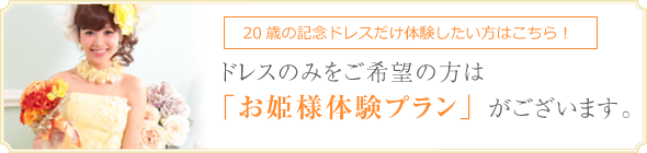 ドレスのみをご希望の方は「お姫様体験プラン」がございます。