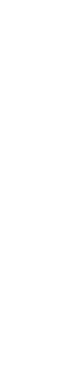 この日　この時　この瞬間お二人が一番輝くこの幸せな時を逃さずに写真を残す。