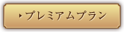 プレミアムプラン