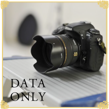 データのみプラン